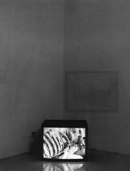 EXPERIMENTS IN FASHION AND ART