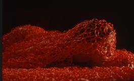 EXPERIMENTS IN FASHION AND ART