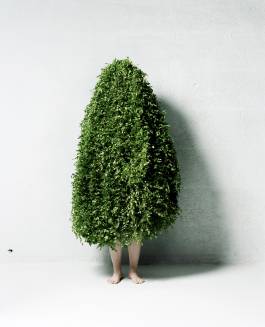 EXPERIMENTS IN FASHION AND ART