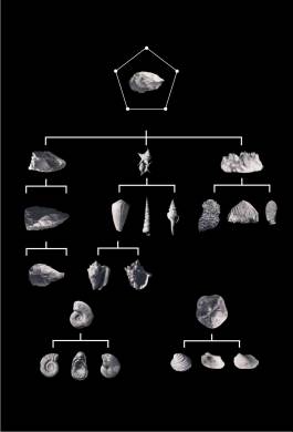 EXPERIMENTS IN FASHION AND ART