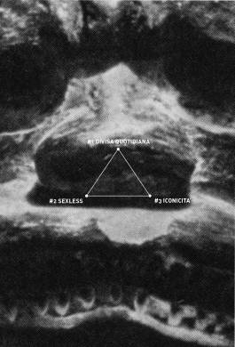 EXPERIMENTS IN FASHION AND ART