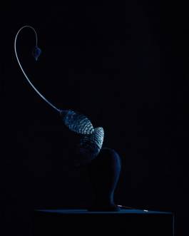 EXPERIMENTS IN FASHION AND ART