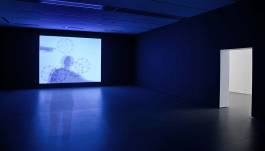 EXPERIMENTS IN FASHION AND ART