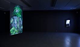 EXPERIMENTS IN FASHION AND ART