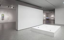 EXPERIMENTS IN FASHION AND ART