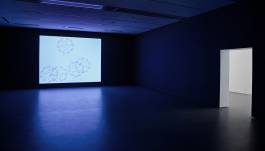 EXPERIMENTS IN FASHION AND ART