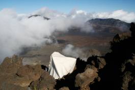 EXPERIMENTS IN FASHION AND ART