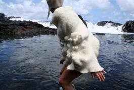 EXPERIMENTS IN FASHION AND ART