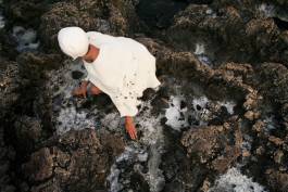 EXPERIMENTS IN FASHION AND ART