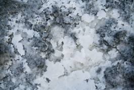 EXPERIMENTS IN FASHION AND ART