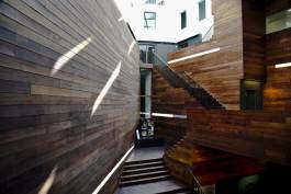 EXPERIMENTS IN FASHION AND ART