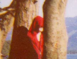 EXPERIMENTS IN FASHION AND ART