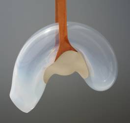 EXPERIMENTS IN FASHION AND ART