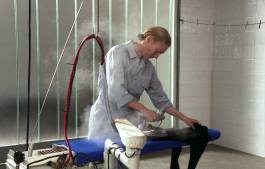 EXPERIMENTS IN FASHION AND ART