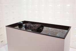 EXPERIMENTS IN FASHION AND ART