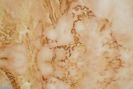 EXPERIMENTS IN FASHION AND ART