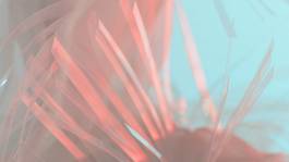 EXPERIMENTS IN FASHION AND ART