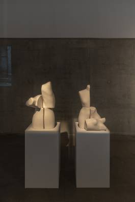 EXPERIMENTS IN FASHION AND ART