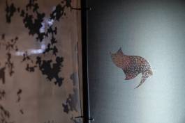 EXPERIMENTS IN FASHION AND ART