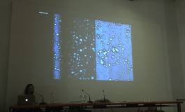 EXPERIMENTS IN FASHION AND ART