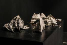 EXPERIMENTS IN FASHION AND ART