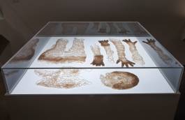 EXPERIMENTS IN FASHION AND ART