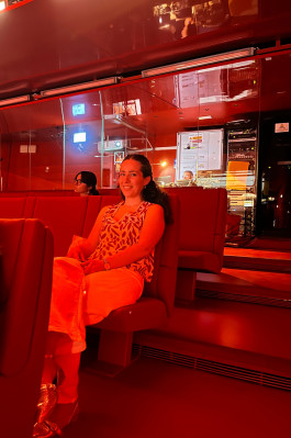 EXPERIMENTS IN FASHION AND ART