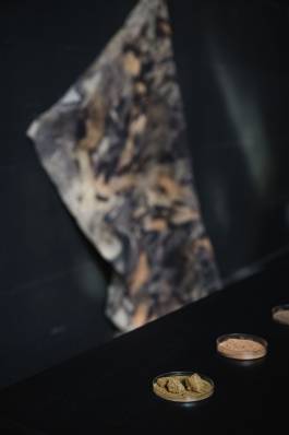 EXPERIMENTS IN FASHION AND ART