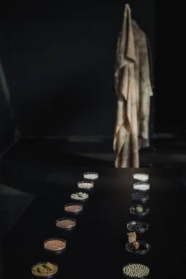 EXPERIMENTS IN FASHION AND ART