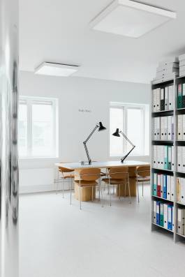 EXPERIMENTS IN FASHION AND ART