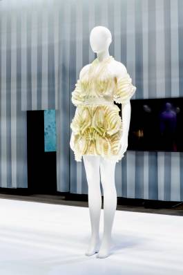 EXPERIMENTS IN FASHION AND ART