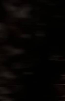 EXPERIMENTS IN FASHION AND ART