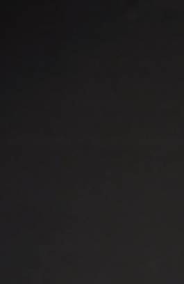 EXPERIMENTS IN FASHION AND ART