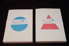 EXPERIMENTS IN FASHION AND ART