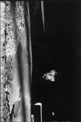 EXPERIMENTS IN FASHION AND ART