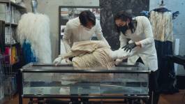 EXPERIMENTS IN FASHION AND ART