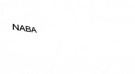 EXPERIMENTS IN FASHION AND ART